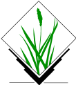 Grasslogo vector small.png